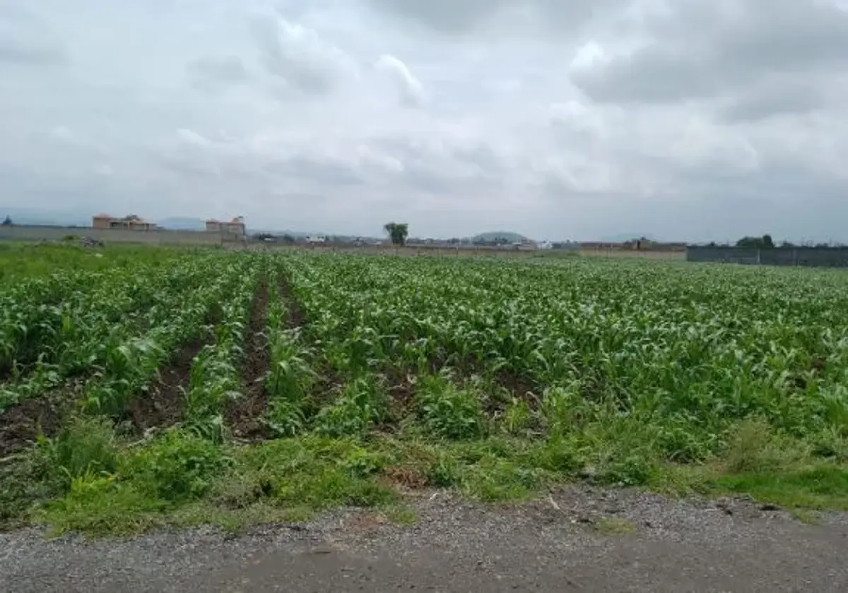 Terreno en venta en San Miguel Totocuitlapilco, Metepec