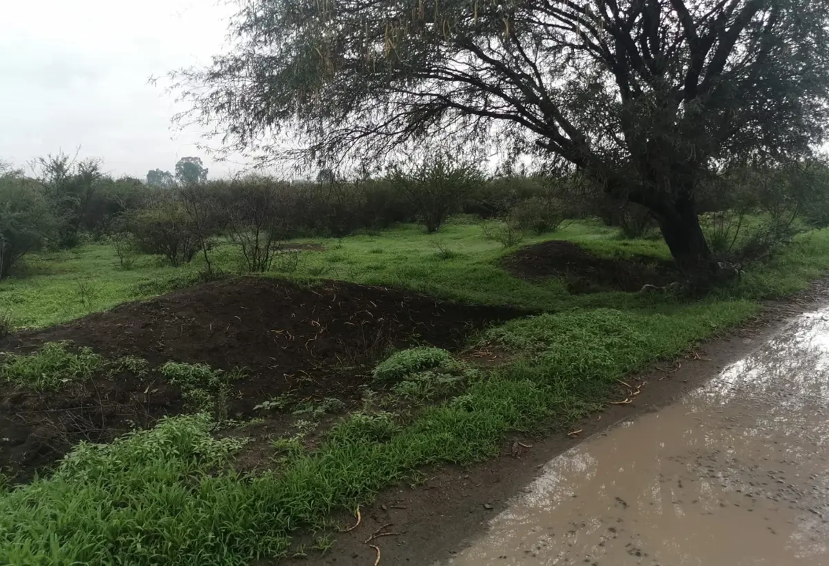 Terreno en venta en Purísima de Cubos (La Purísima), Colón — foto 1 de 9