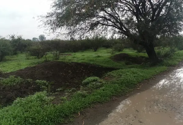 TERRENO EN VENTA EN PURISIMA DE CUBOS, COLÓN