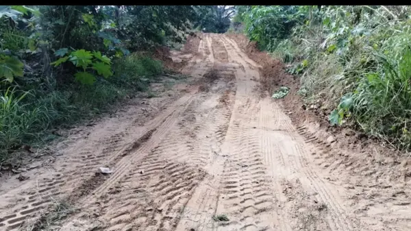 Terreno en renta en Dos Bocas, Medellín de Bravo — foto 2 de 6