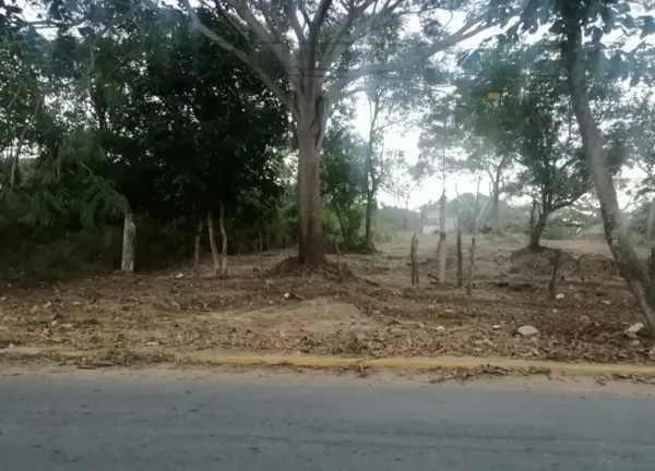 Terreno en renta en Dos Bocas, Medellín de Bravo — foto 3 de 6
