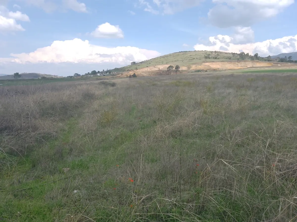 Terreno en venta en San Francisco Acazuchitlaltongo, Polotitlán — foto 1 de 9