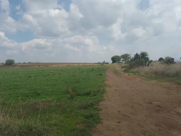 Terreno en venta en San Francisco Acazuchitlaltongo, Polotitlán — foto 2 de 9