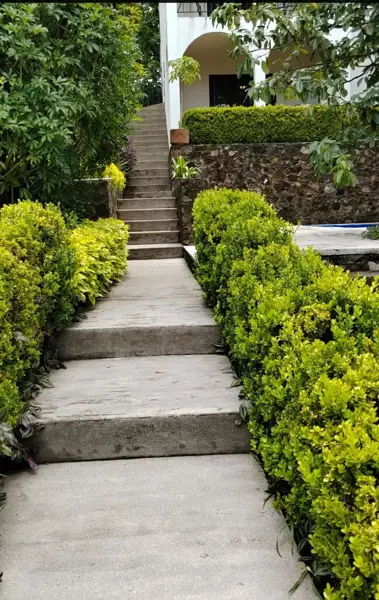 Departamento en renta en Santa Maria Ahuacatitlan, Cuernavaca — foto 2 de 13