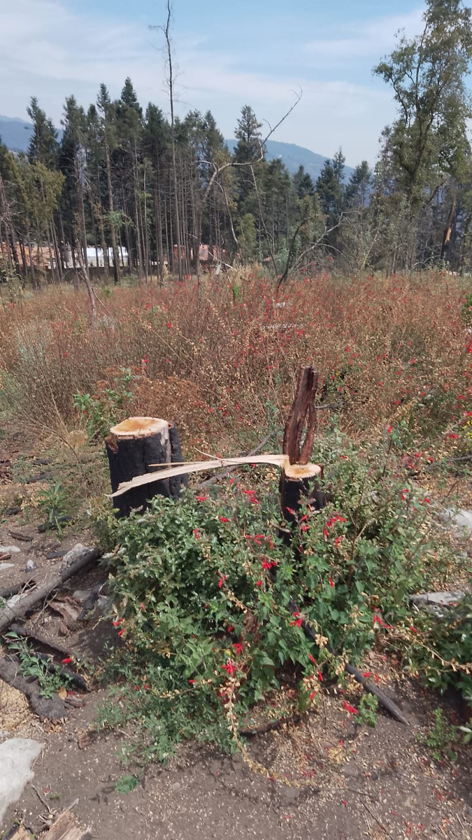 Terreno en venta en Piedra Grande, Huixquilucan — foto 1 de 3