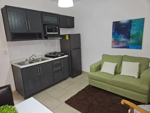 Departamento en renta en Rincón del Pedregal, Torreón, Coahuila de Zaragoza