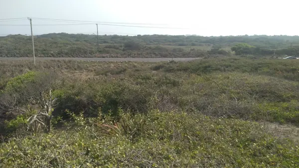 Terreno en venta en Arbolillo, Alvarado — foto 3 de 6
