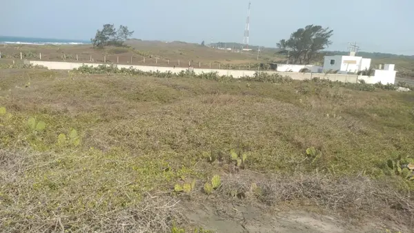 Terreno en venta en Arbolillo, Alvarado — foto 2 de 6
