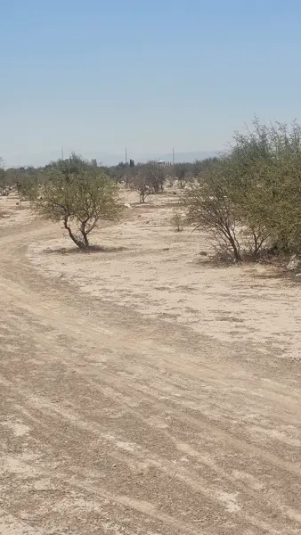 Terreno en venta en Paso del Aguila, Torreón — foto 2 de 3