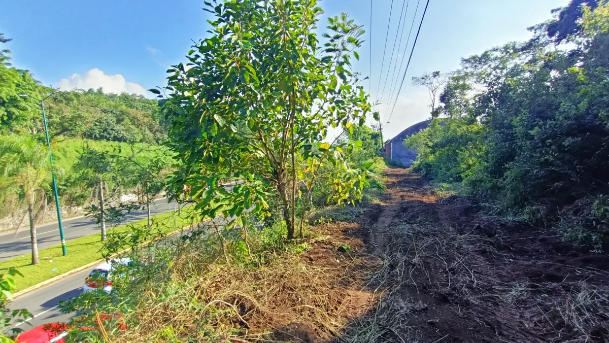Terreno en renta en Arboledas San Pedro, Coatepec — foto 1 de 21
