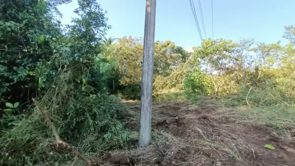Terreno en renta en Arboledas San Pedro, Coatepec — foto 2 de 21