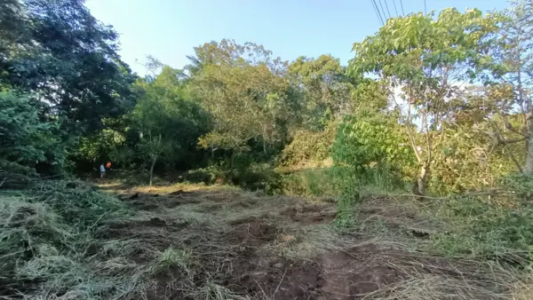 Terreno en renta en Arboledas San Pedro, Coatepec — foto 3 de 21