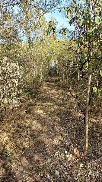 Terreno en venta en El Uro, Monterrey — foto 2 de 8