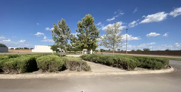 Terreno en venta en El Cardenchal, Torreón — foto 2 de 8