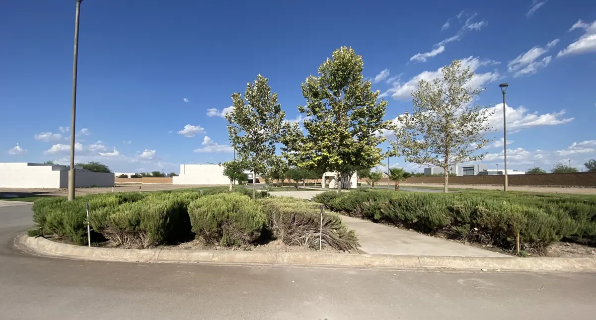 Vista 5 de Terreno en Venta en El Cardenchal, Torreón, Coahuila de Zaragoza