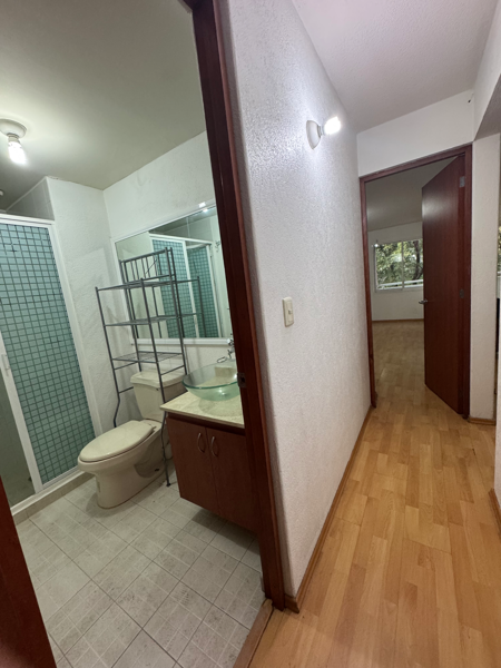 Departamento en venta en Santa Cruz Atoyac, Benito Juárez — foto 3 de 21