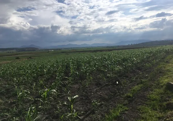 Terreno en venta en Amealco de Bonfil Centro, Amealco de Bonfil — foto 3 de 11