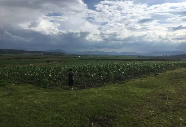 Terreno en venta en Amealco de Bonfil Centro, Amealco de Bonfil — foto 2 de 11