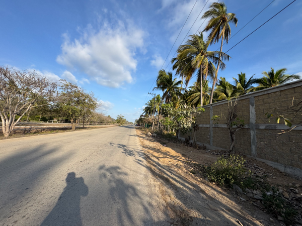 Terreno en venta en Siderúrgica Lázaro Cárdenas Las Truchas, Lázaro Cárdenas — foto 3 de 6