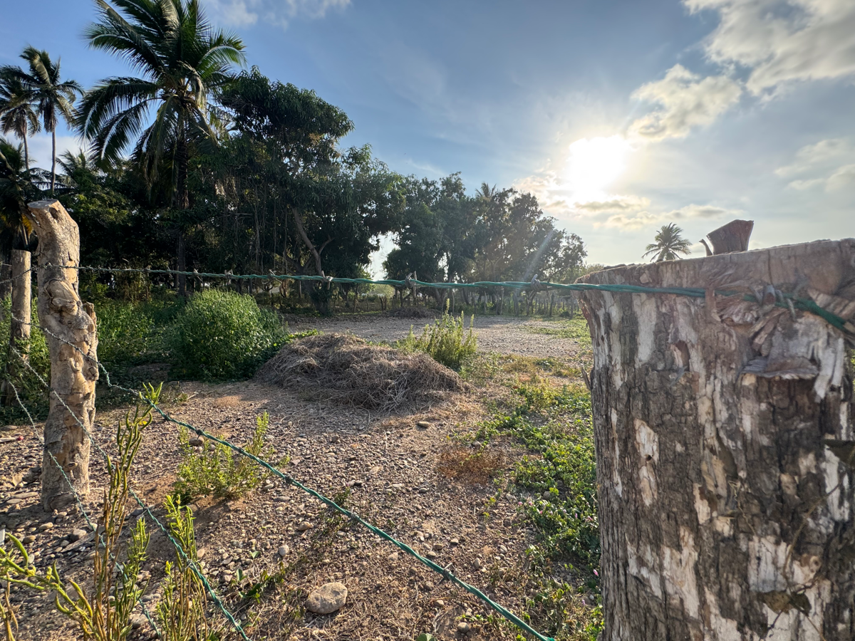 Terreno en venta en Playa Azul, Lázaro Cárdenas — foto 1 de 9