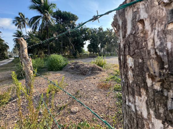 Terreno en venta en Playa Azul, Lázaro Cárdenas — foto 2 de 9