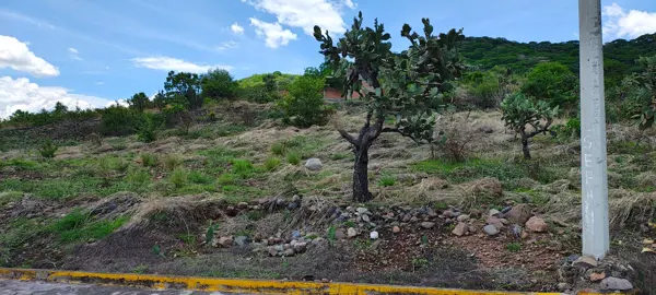 Terreno en venta en Tepexco, Tepexco — foto 3 de 23
