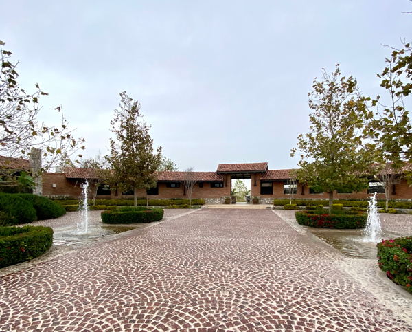 Terreno en venta en La Gran Vinícola, Gómez Palacio — foto 2 de 8