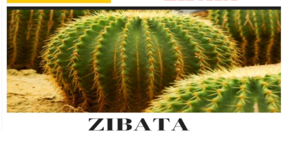 Terreno en venta en Zibatá, El Marqués — foto 2 de 5