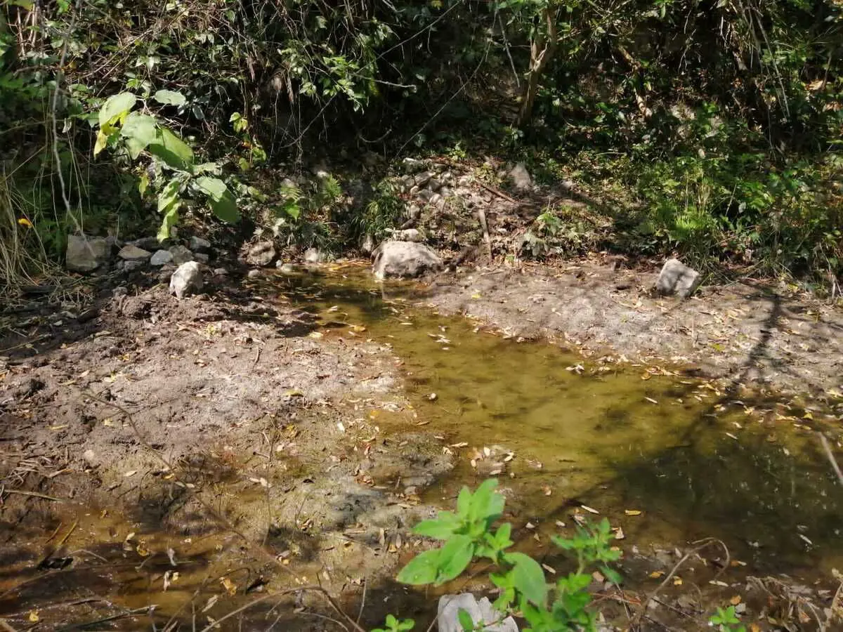 Finca-Rancho en venta en La Hincada, Ciudad Valles — foto 1 de 10