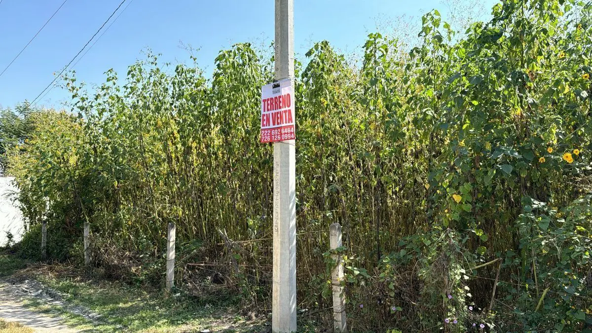 Terreno en venta en San José Vista Hermosa, Puente de Ixtla — foto 1 de 6