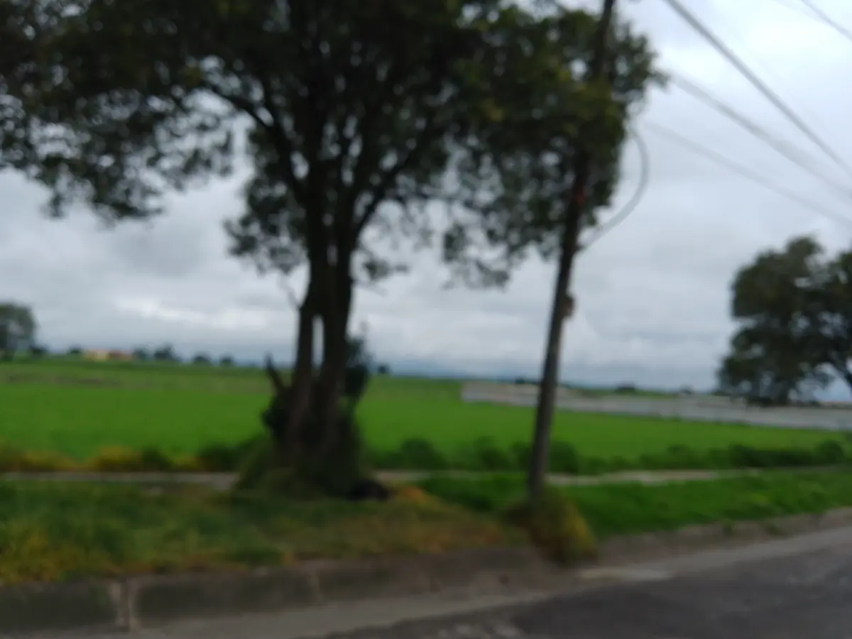 Terreno en venta en San Martin Toltepec, Toluca — foto 1 de 4