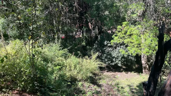 Terreno en venta en Rincón de Estradas, Valle de Bravo — foto 3 de 17