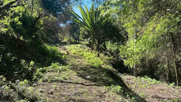 Terreno en Rincón de Estradas, Valle de Bravo, México — foto 1 de 17