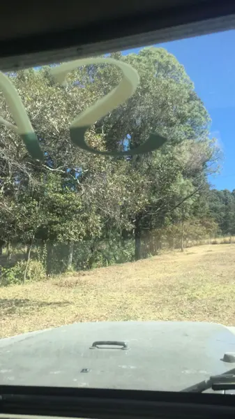 Terreno en venta en San Gabriel Ixtla, Valle de Bravo — foto 3 de 13
