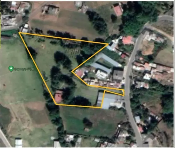 Quinta en venta en San Agustín de las Palmas (San Agustín), Donato Guerra — foto 2 de 34