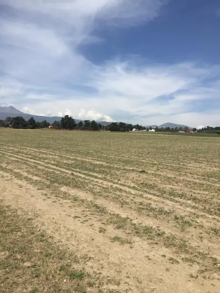 Terreno en venta en San Miguel Zacango, Toluca — foto 3 de 26