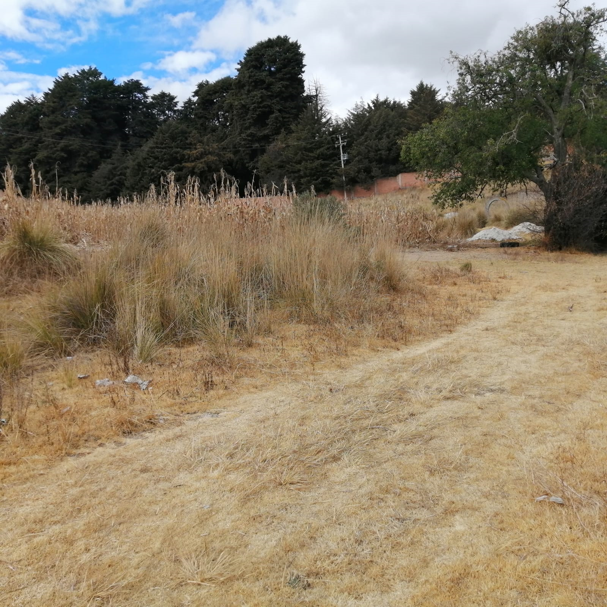 Terreno en venta en Cacalomacán Centro, Toluca — foto 1 de 17