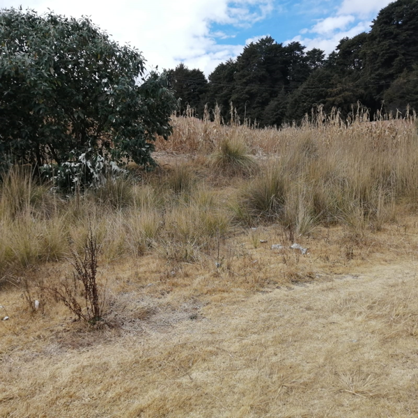 Terreno en venta en Cacalomacán Centro, Toluca — foto 2 de 17