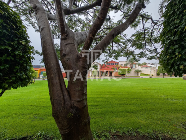 Casa en renta en Lomas de Tzompantle, Cuernavaca — foto 3 de 23