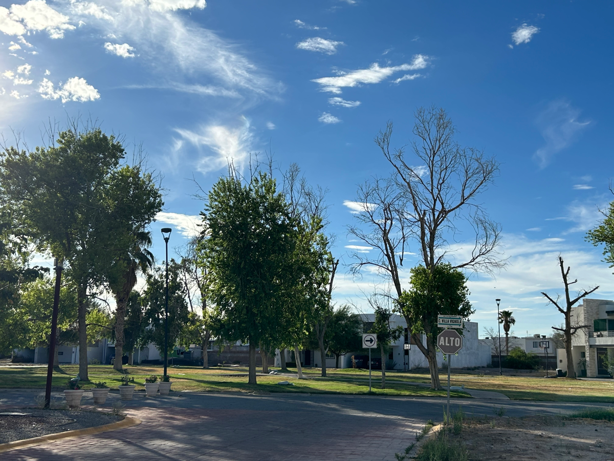 Terreno en venta en Villas del Renacimiento, Torreón — foto 1 de 3