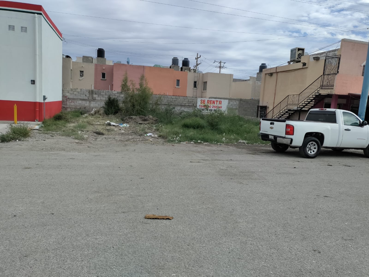Terreno en renta en La Dalia Oriente, Torreón — foto 1 de 5