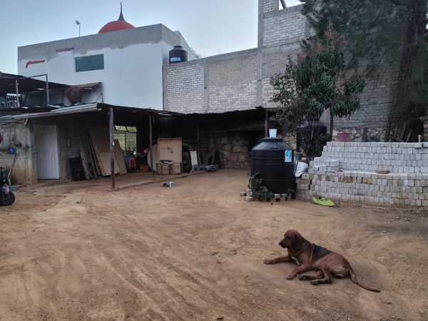 Terreno en venta en San Luis Beltran, Oaxaca de Juárez — foto 3 de 10