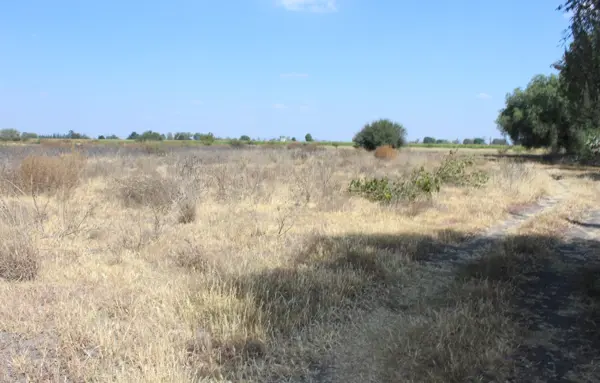 Terreno en venta en Quintanares, Pedro Escobedo — foto 3 de 22