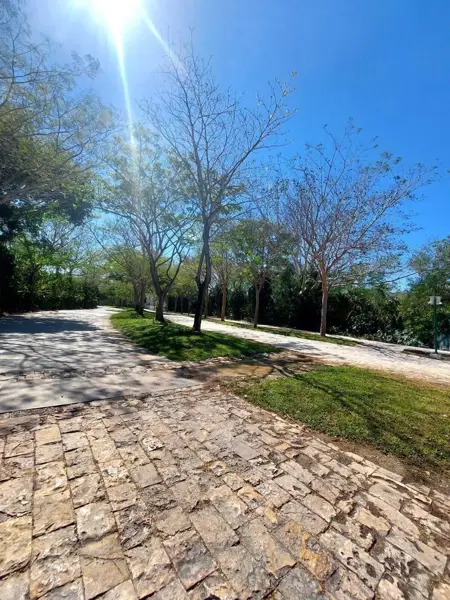 Casa en renta en Cabo Norte, Mérida — foto 3 de 42