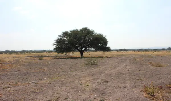 Terreno en venta en Pedro Escobedo Centro, Pedro Escobedo — foto 2 de 7