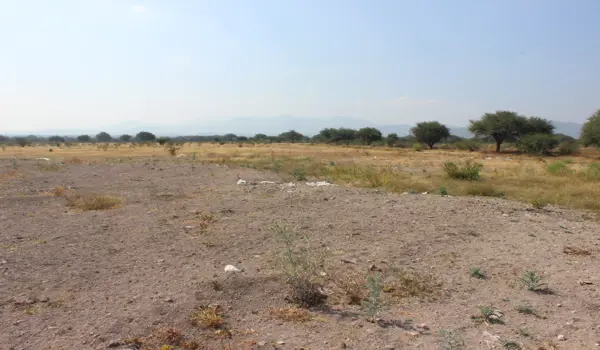 Terreno en venta en Pedro Escobedo Centro, Pedro Escobedo — foto 3 de 7