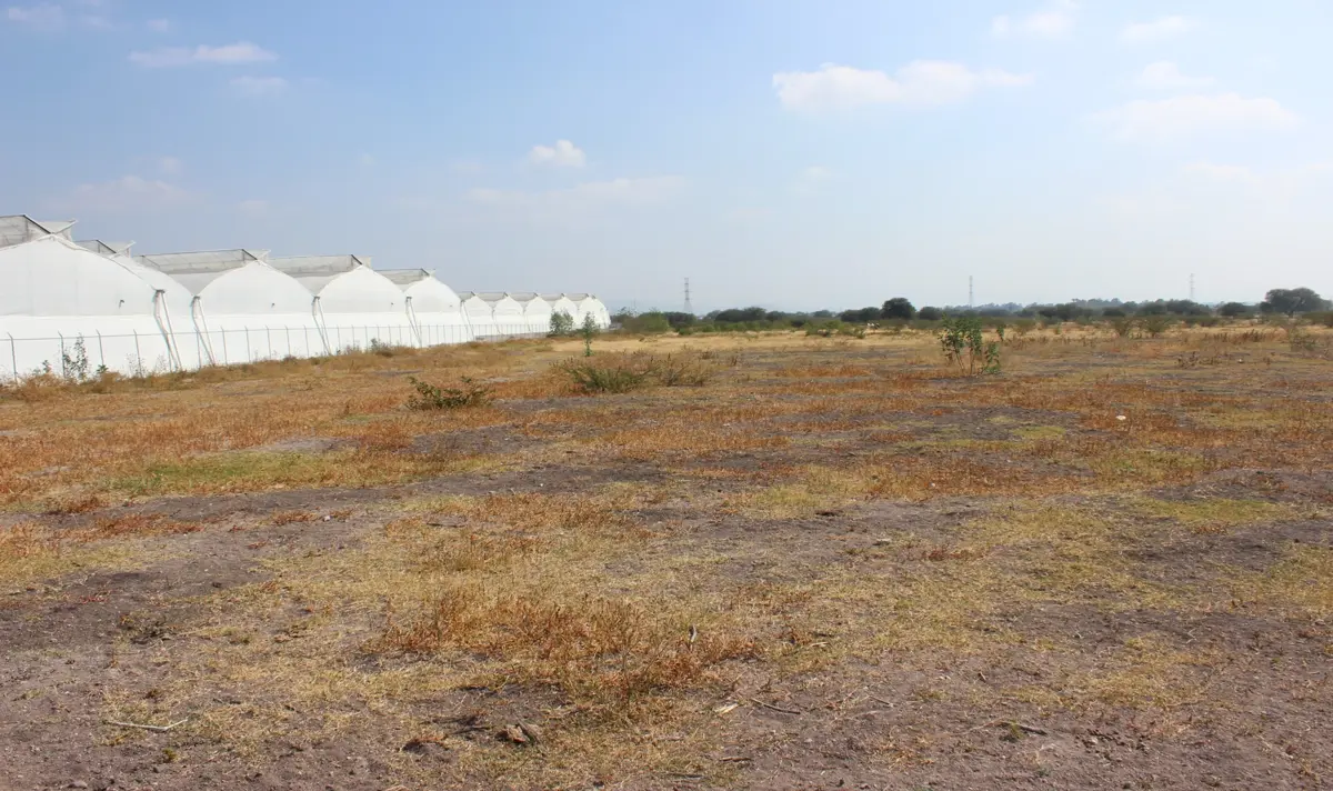 Terreno en venta en Pedro Escobedo Centro, Pedro Escobedo — foto 1 de 7