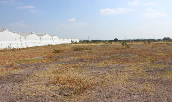 TERRENO EN VENTA EN PEDRO ESCOBEDO