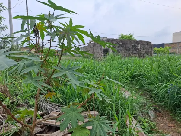 Terreno en venta en la col unidad Antorchista Alvarado, Veracruz - Excelente ubicación