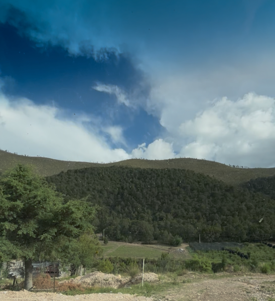 Terreno en venta en La Efigenia, Arteaga — foto 3 de 4